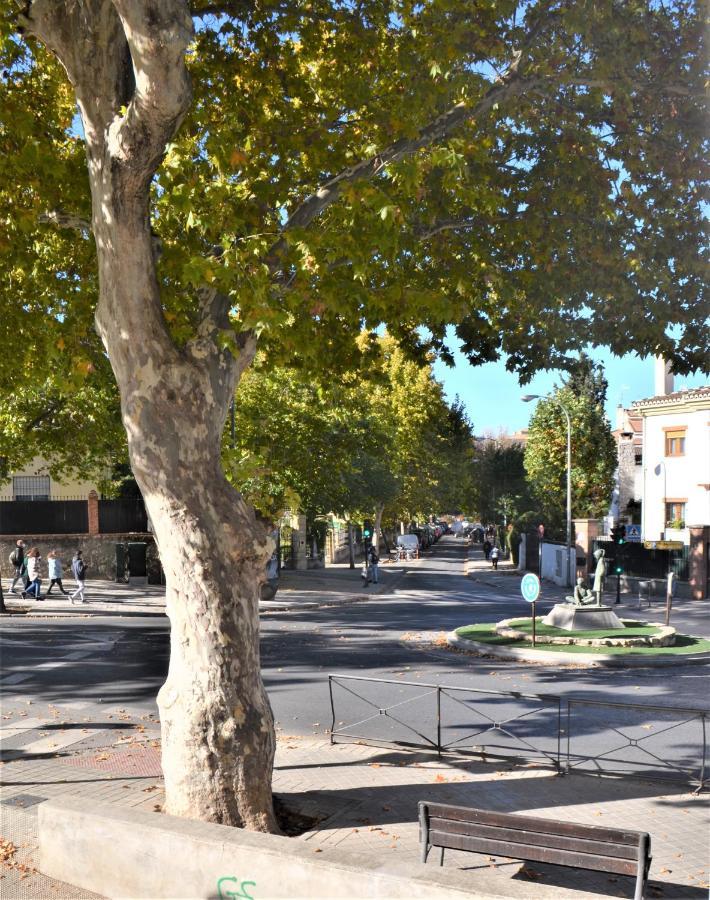 Carmela Suites Apartamento De Dos Dormitorios Granada Exteriör bild